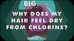Why does my hair feel dry from chlorine? - Big Questions - (Ep. 205)