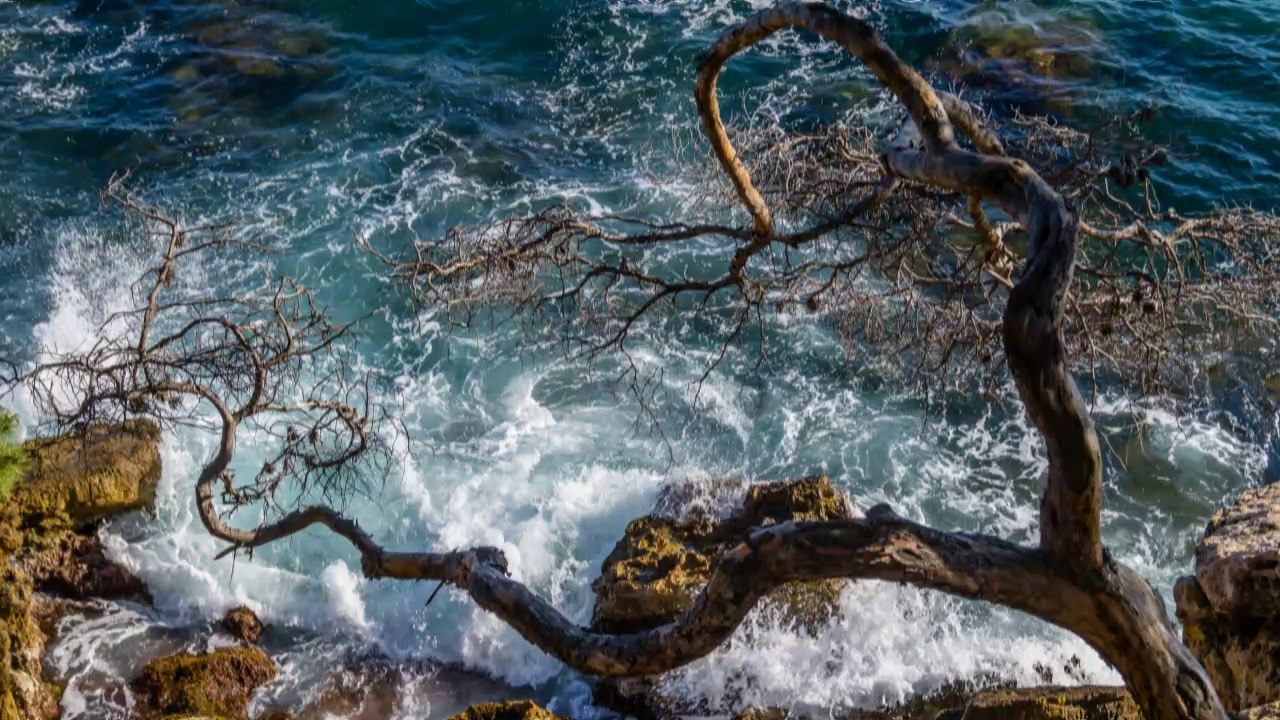 Le sentier du Littoral