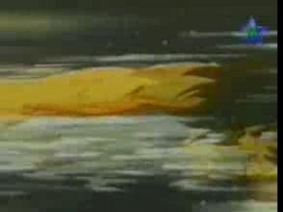 Apertura de los caballeros del zodiaco