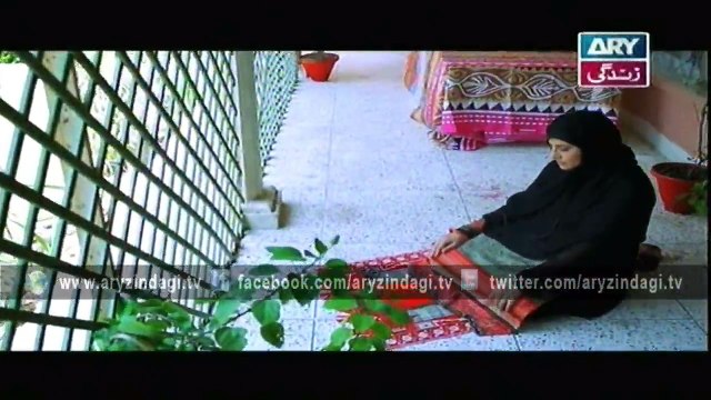 Hamari Bitya Ep - 29 - 12th October 2015