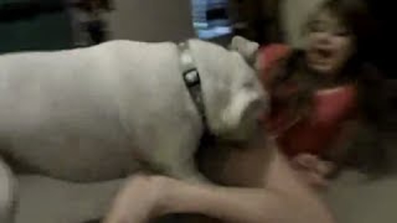 DOG Vs GIRL