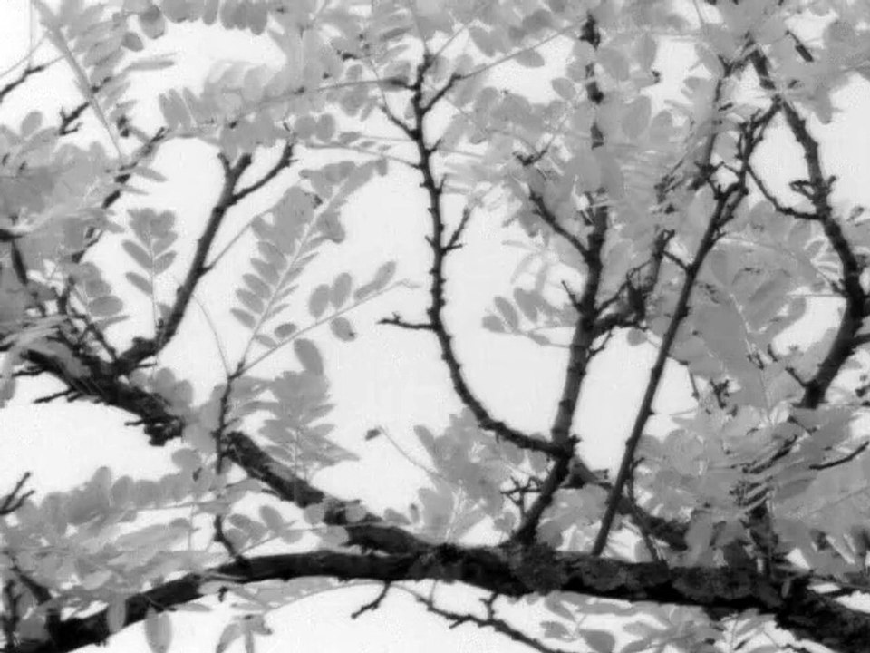 ASI120MM IR742-20151012-150549