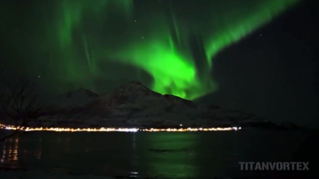 Des baleines à bosse dansent sous une aurore boréale