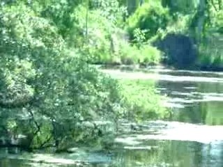 Swamp Tour in Louisiana