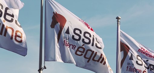 Assises de la filière équine 2015 : le best of