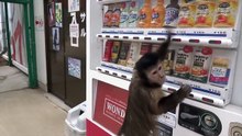 Smart and Clever Animals