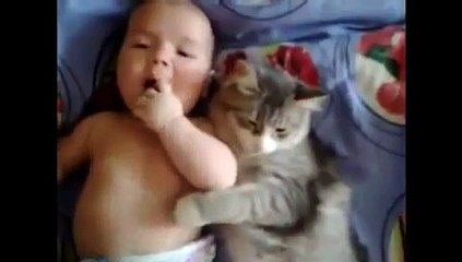 малыш и котёнок