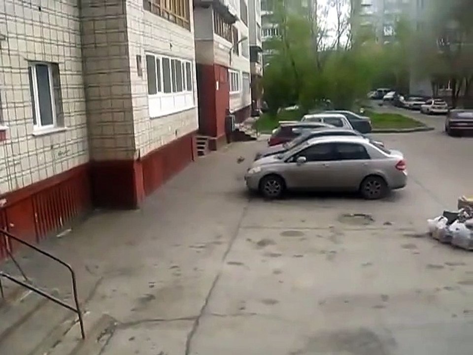 Милота прямо во дворе