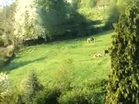 Les matins de Riom-ès-Montagnes