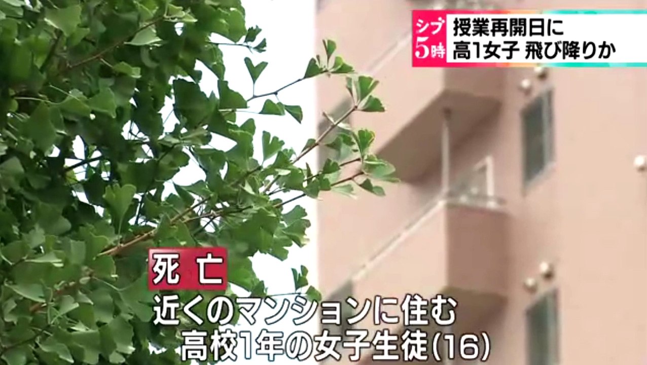 （新潟）授業再開日　女子高校生が飛び降りか　2015年8月26日