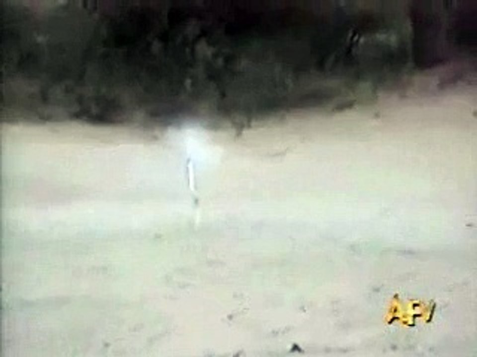 Quand ton chien improvise le 14 juillet