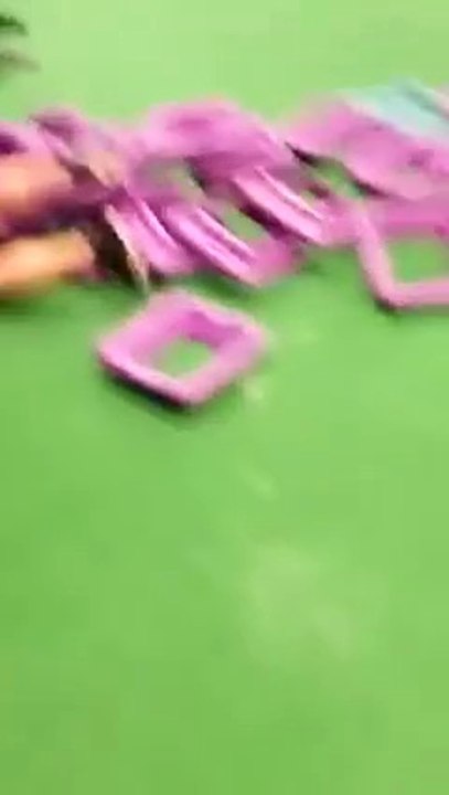 Box jumping onto a flimsy stack of plastic steps seemed like such a good idea...