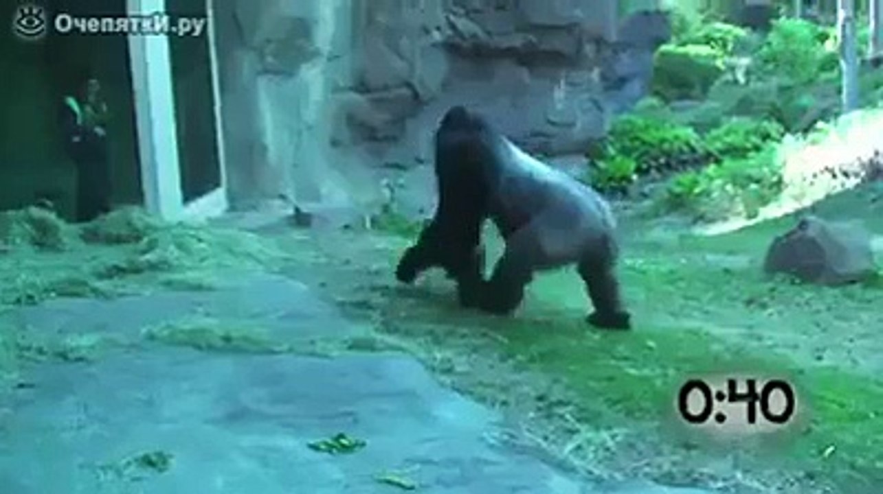 Zoo