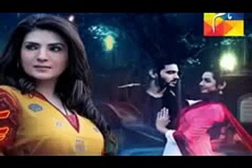 Ishq Ibadat Episode 49 Promo on HUM TV
