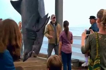 Giant Shark Attacks Man So Funny