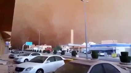 Песчаная буря - это страшно!