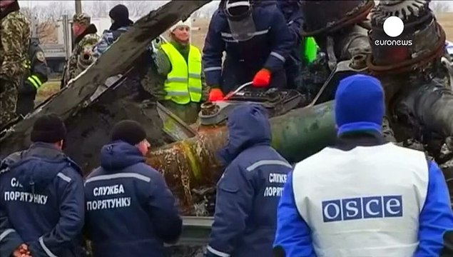 Во вторник станут известны причины катастрофы малайзийского лайнера в небе Украины