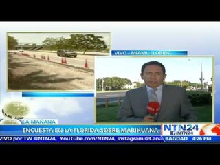 Casi el 90% de las personas registradas para votar apoyarían la legalización de marihuana en Florida