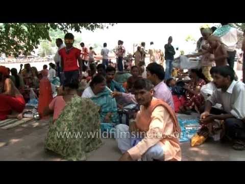 Sadhus and devotees sit under a tree on the banks of River Ganges