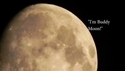 The Moon has Two Faces