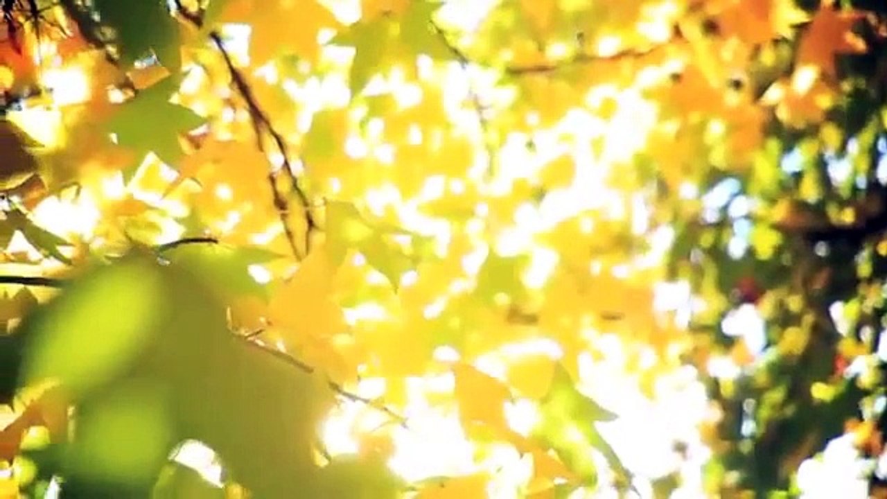 Тонус жизни. Откуда берется энергия и краски жизни. Ада Конде