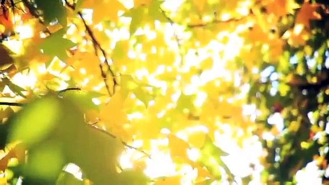 Тонус жизни. Откуда берется энергия и краски жизни. Ада Конде