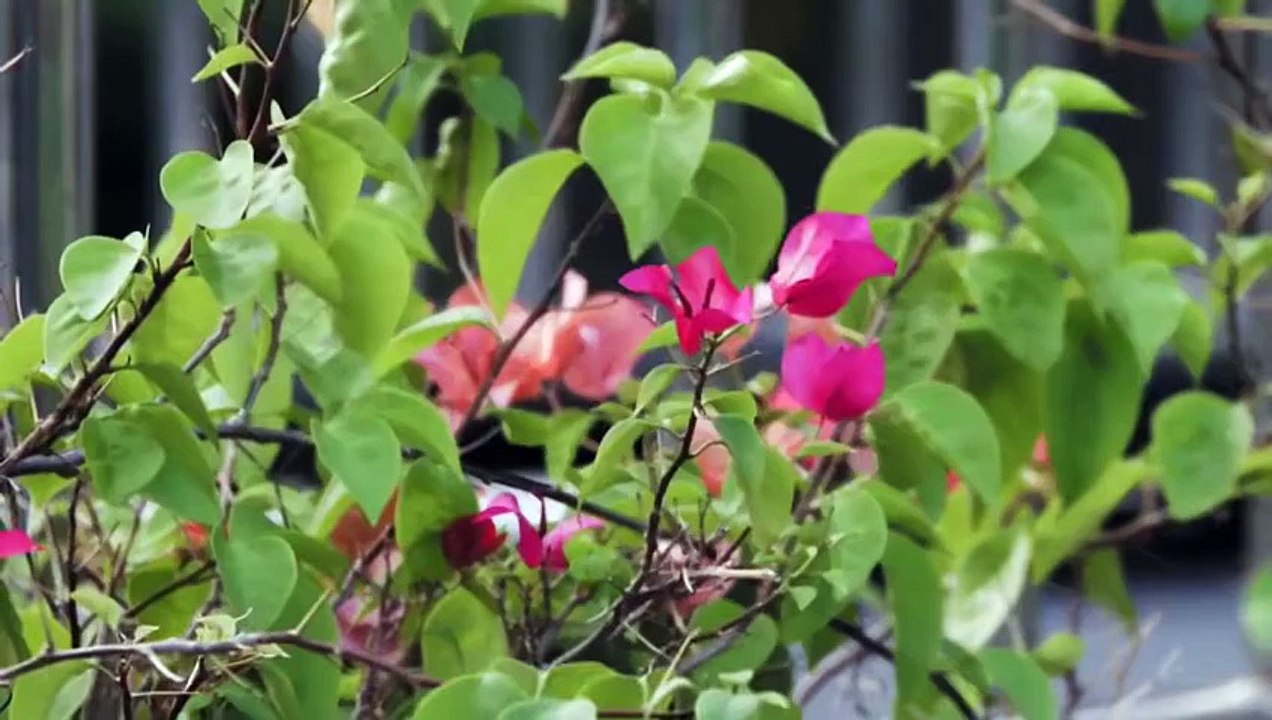 [EngSub] Lovesick S2 Episode 34 - Per Mawin Mark Sweet Moment