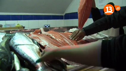 Recomiendo Chile 2015 C19 Ancud