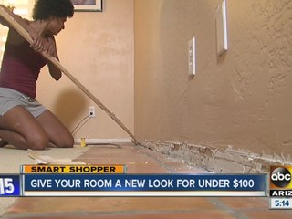 Smart Shopper: Remodel your living room and don’t go broke!