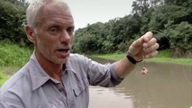 How Easy It Is to Catch Piranhas - River Monsters