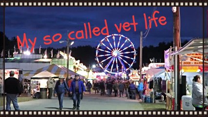 My 'happy' is the Deerfield fair and sunflower fields!