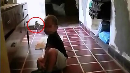 Argentina Real Duende appears in the video that frightens the world