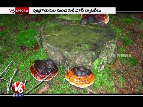 V6 Special - V6 News ( 12-10-2015 )