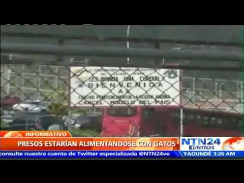 Presos en Venezuela comen hasta gatos por escasez de alimentos, según denuncias