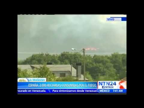 Al menos dos mil hectáreas han sido consumidas por incendio forestal en Cualedro, España