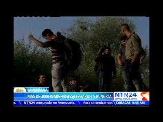 Cifra récord: autoridades de Hungría interceptan más de tres mil inmigrantes en un solo día