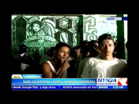 Pandillas de El Salvador serán consideradas como grupos terroristas según Corte Suprema de Justicia