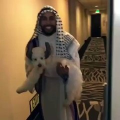 Đây người ta gọi là treo đầu dê bán thịt chó