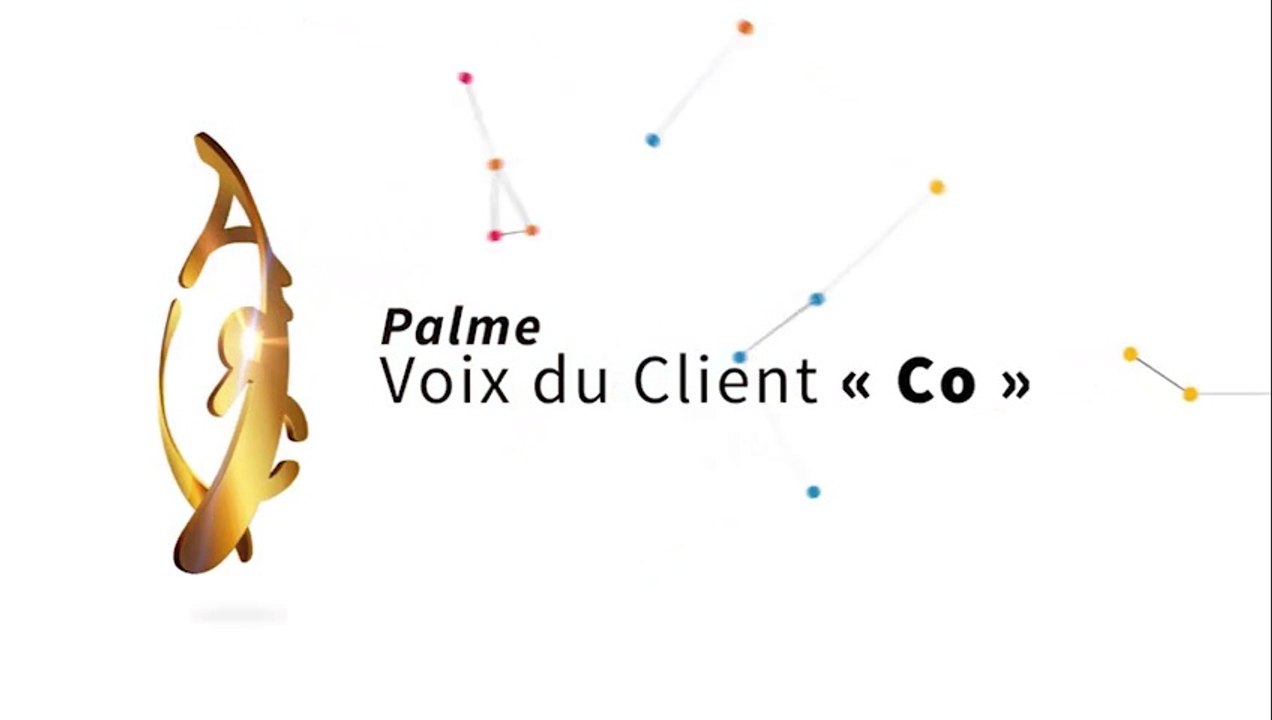 3 Palmes 2015 - Voixduclient