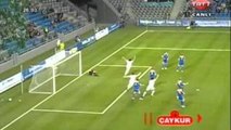 Hamit Altintops Amazing Goal ( Official The Best Goal of the Year 2010 )