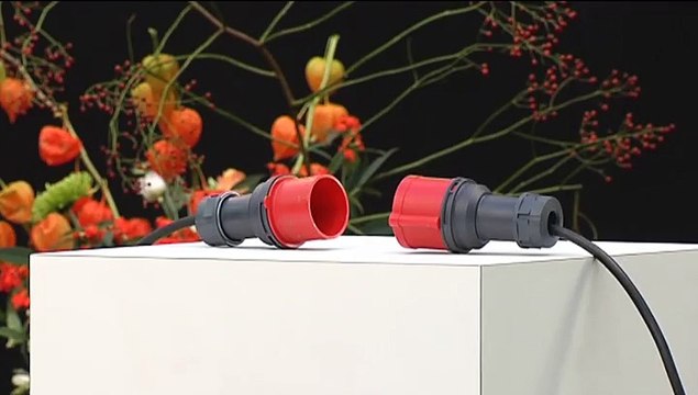 Koning Willem-Alexander opent EnTranCe in Stad - RTV Noord