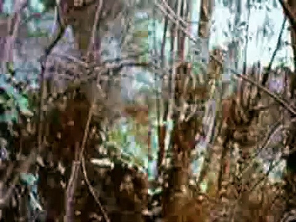 ({-."Without Warning"))-Trailer-/."-Nojery Tyleft"_.-