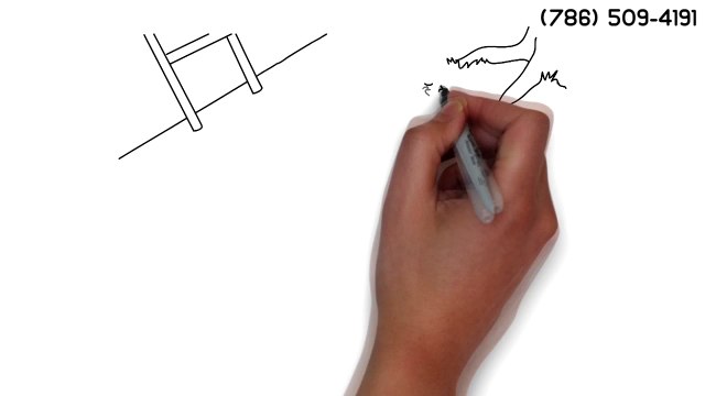 Affordable tree service Opa Locka (786) 509-4191