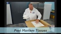 Post Mortem Tissues By Animal Biotech Industries, Inc.