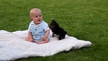 Video bebe luchando contra un fiero perro FaceLOCO.com