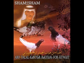 talal kuwait pakistani pigeon