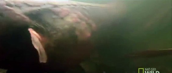 kz성남출장안마【010↔2156↔4195】⑵성남출장마사지 핑크lady【분당출장안마】