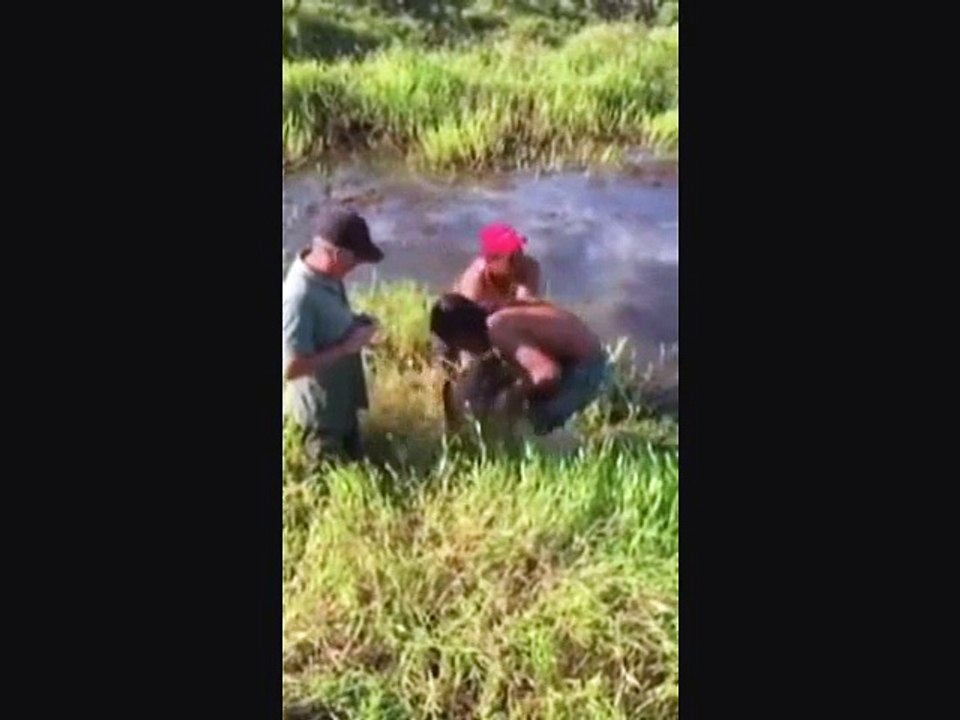 Tamparan ikan sampai pingsan berdarah