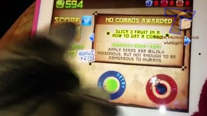 Pets playing video games - Funny animal compilation