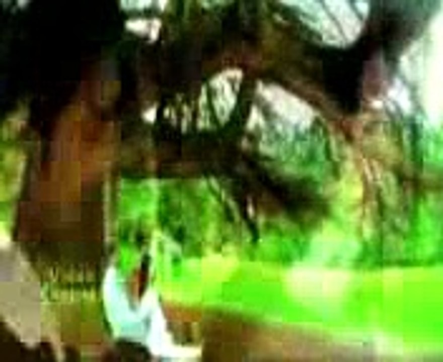 HUM SAFAR  CHAHIAY AAP KE PIYAR KI EK NAZAR CHAHIAY